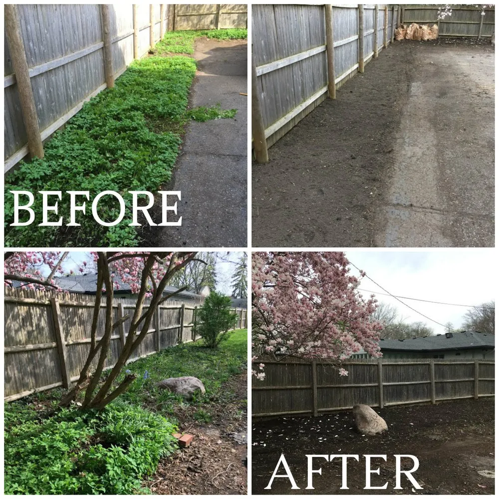 Affordable landscaping services for residential properties across Lincoln Park, MI - Luson Home Services