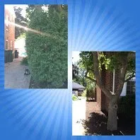 Trusted yard maintenance for homes in Lincoln Park, MI by Luson Home Services