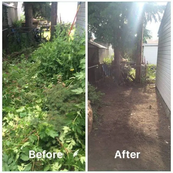 Top-rated garden landscaping for beautiful yards across Lincoln Park, MI - Luson Home Services