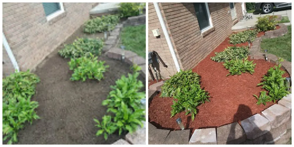 Local lawn mowing service for residential properties in Lincoln Park, MI by Luson Home Services