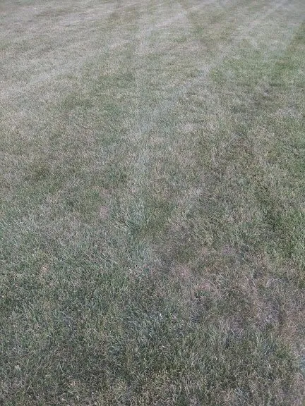 Custom lawn mowing service for homes across Lincoln Park, MI - Luson Home Services