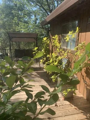 Luster Landscape Logo