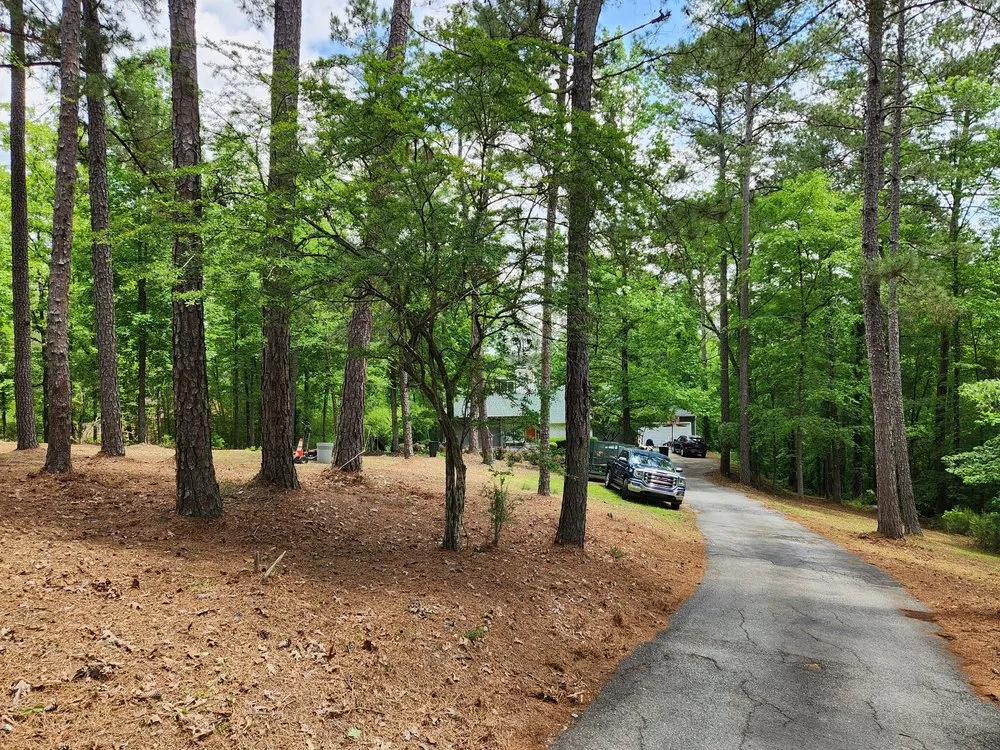 Trusted lawn care service for outdoor upgrades in Macon, GA by Luster Lawn Care Services