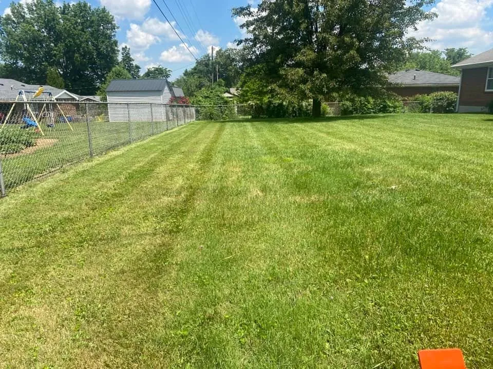 Reliable yard cleanup service in Waddy, KY by Lutes Lawn Care