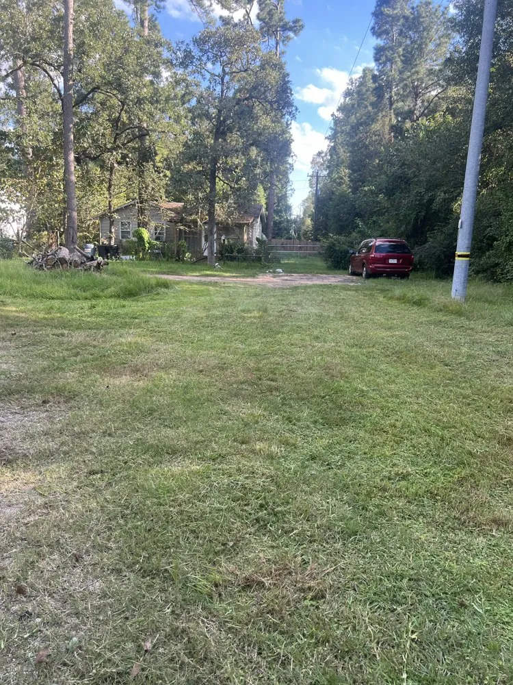 Custom yard cleanup service in Conroe, TX by Lutter Landscape