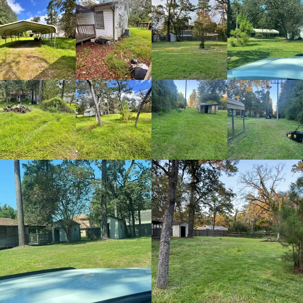 Affordable landscaping services in Conroe, TX - Lutter Landscape