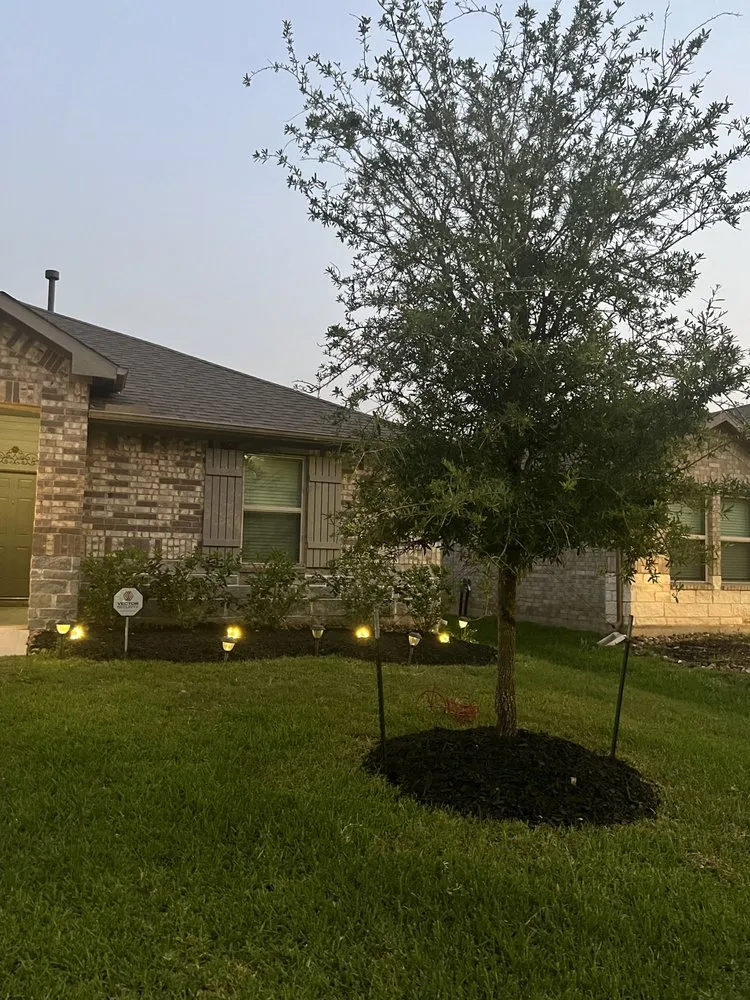 Top-rated lawn mowing service in Conroe, TX by Lutter Landscape