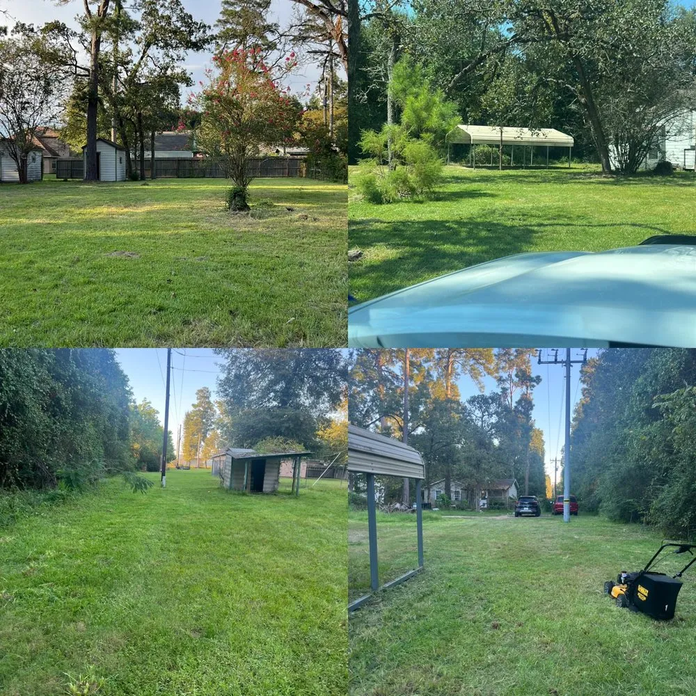 Top-rated landscape installation for beautiful yards across Conroe, TX - Lutter Landscape