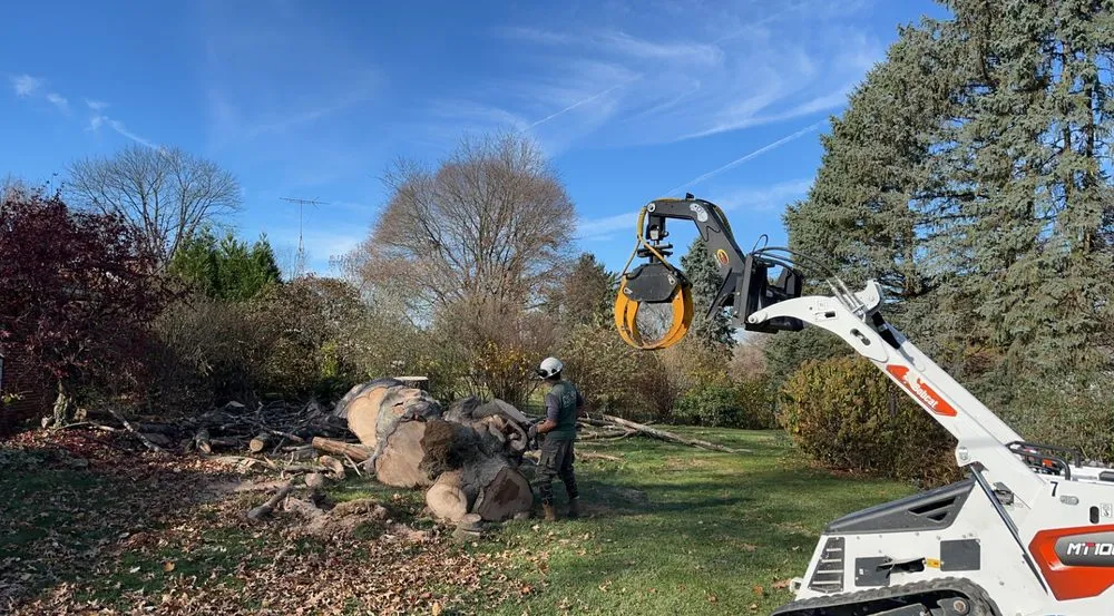 Local yard maintenance in Canton, OH by Lutz Landscaping & Management