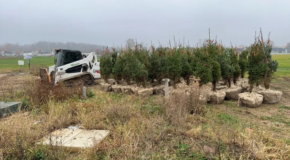 Local yard cleanup service for outdoor upgrades in Canton, OH by Lutz Landscaping & Management