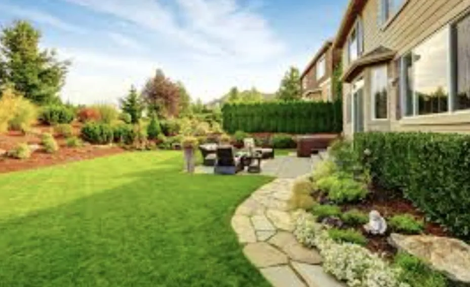 Professional yard cleanup service experts serving San Antonio, TX - Lutz Landscaping