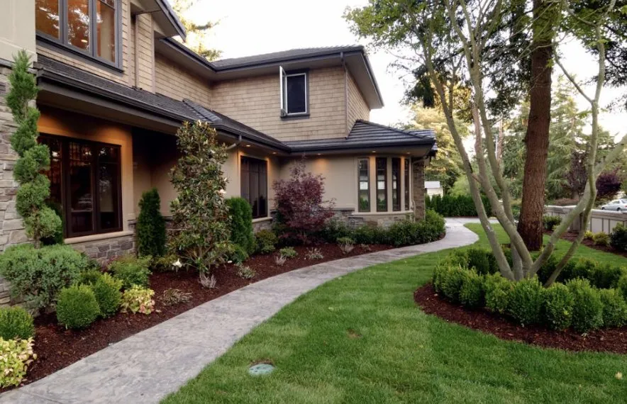 Affordable yard cleanup service for beautiful yards across San Antonio, TX - Lutz Landscaping