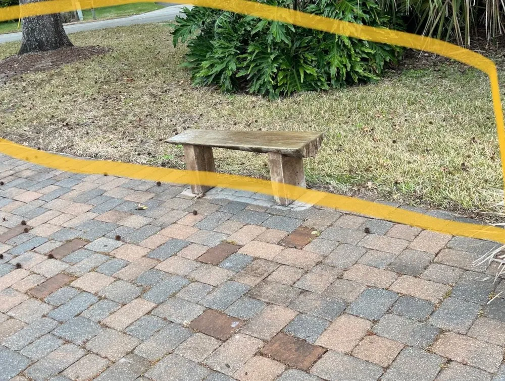 Affordable yard maintenance in Winter Garden, FL - Luv-a-Lawn & Pest Control