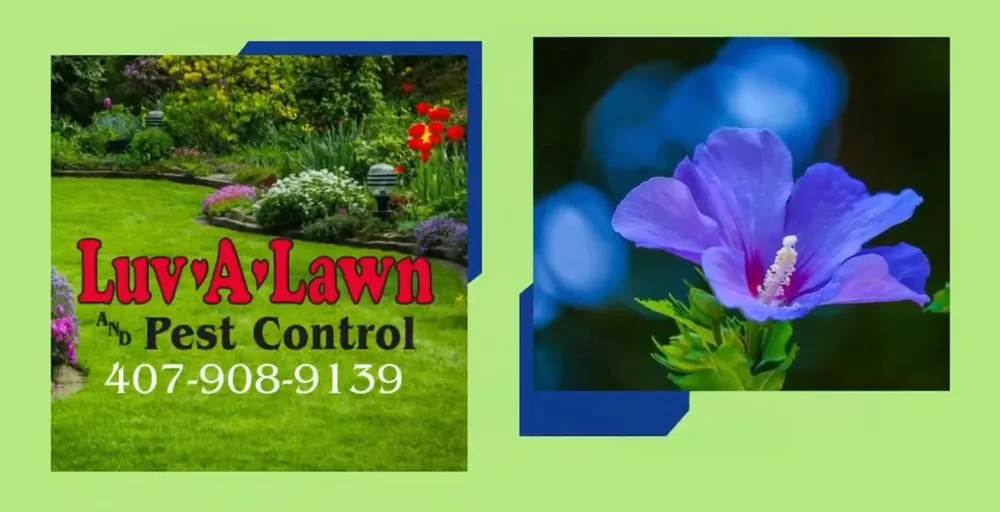 Top-rated landscape installation with custom design across Winter Garden, FL - Luv-a-Lawn & Pest Control