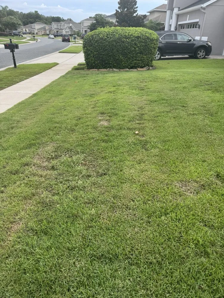 Expert lawn mowing service for outdoor upgrades in Winter Garden, FL by Luv-a-Lawn & Pest Control