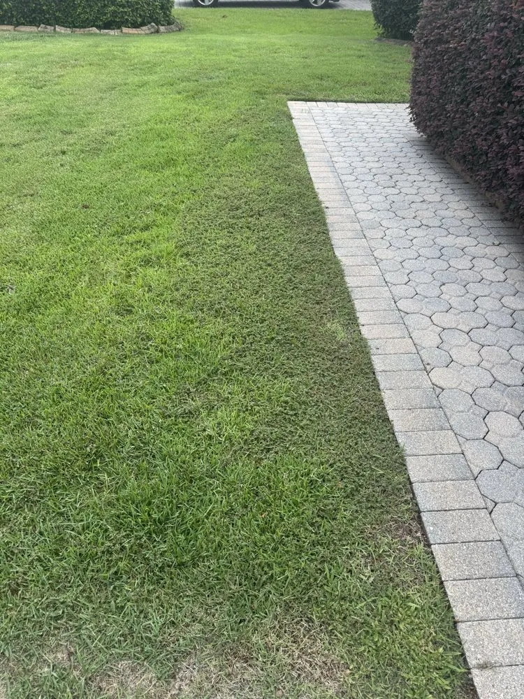 Professional garden landscaping for year-round maintenance across Winter Garden, FL - Luv-a-Lawn & Pest Control