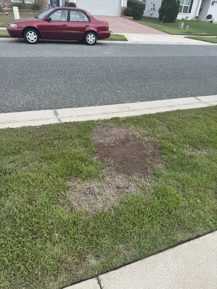 Expert residential landscaping for beautiful yards across Winter Garden, FL - Luv-a-Lawn & Pest Control