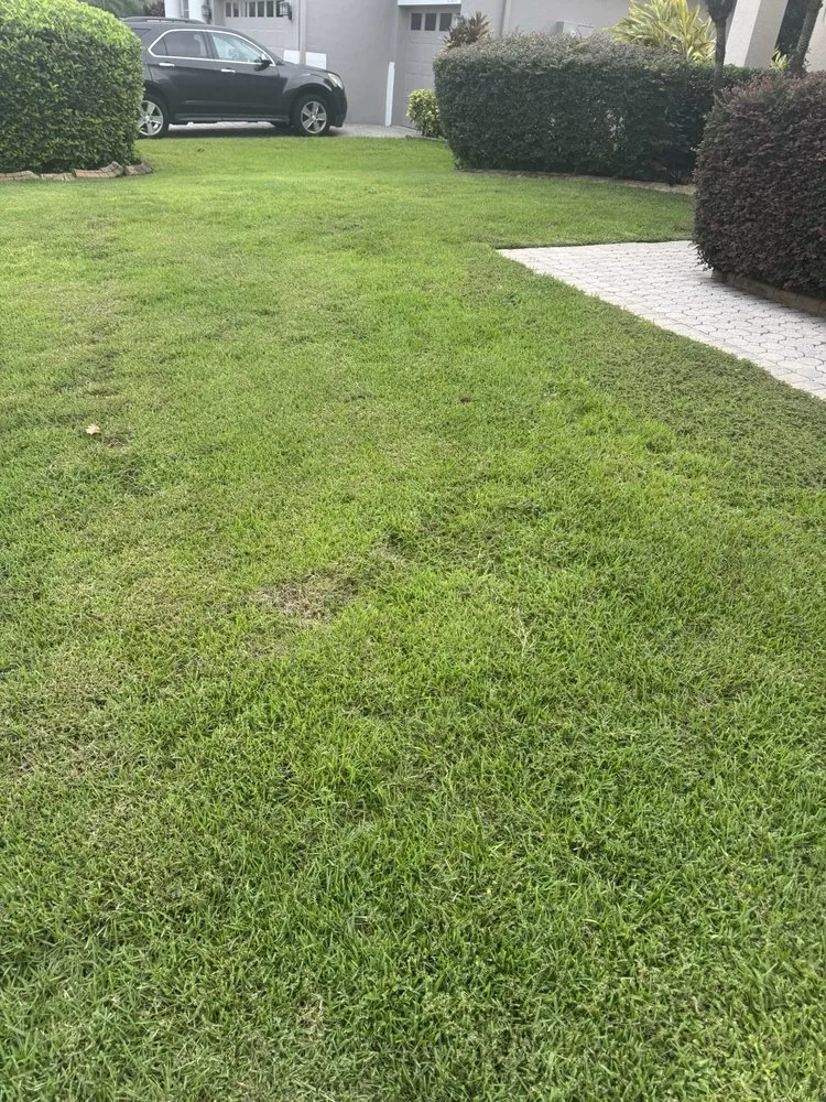 Reliable landscape installation for residential properties in Winter Garden, FL by Luv-a-Lawn & Pest Control