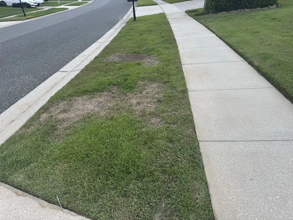 Custom landscape design for residential properties across Winter Garden, FL - Luv-a-Lawn & Pest Control