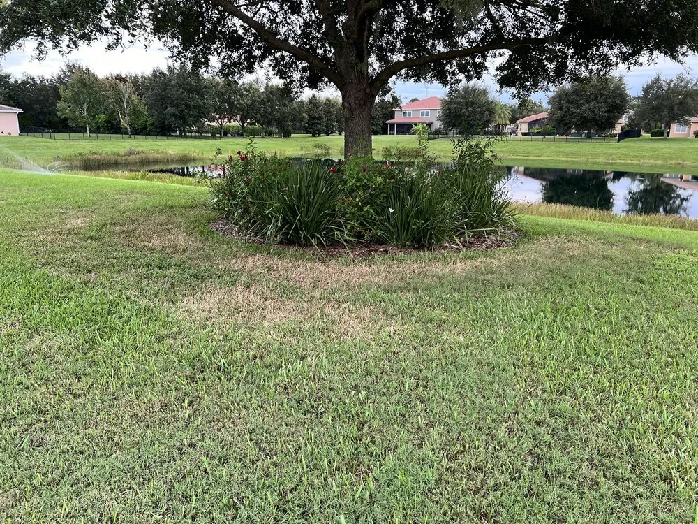 Reliable outdoor landscaping for beautiful yards across Orlando, FL - Luv-A-Lawn and Pest Control