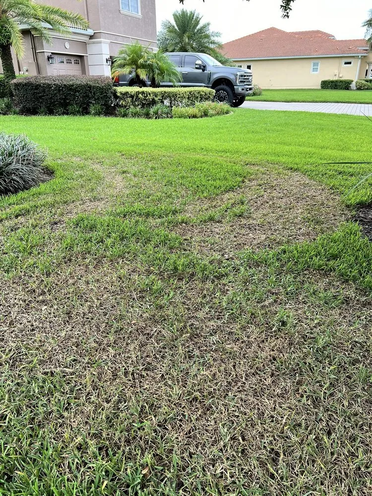 Reliable garden landscaping with custom design in Saint Cloud, FL by Luv-A-Lawn and Pest Control