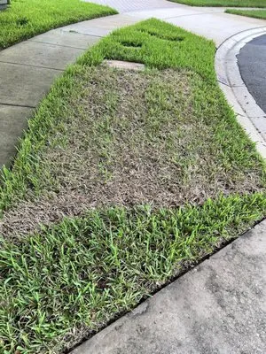 Luv-A-Lawn and Pest Control