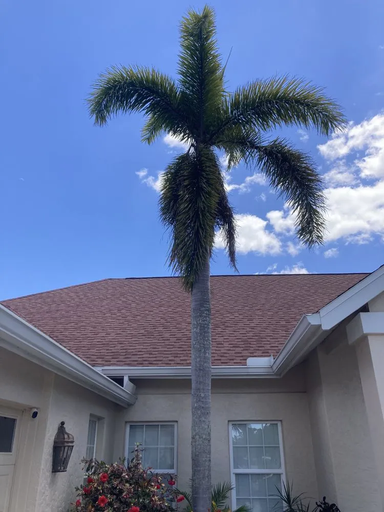 Top-rated garden landscaping for year-round maintenance across Bradenton, FL - Lux Cleaning Solutions