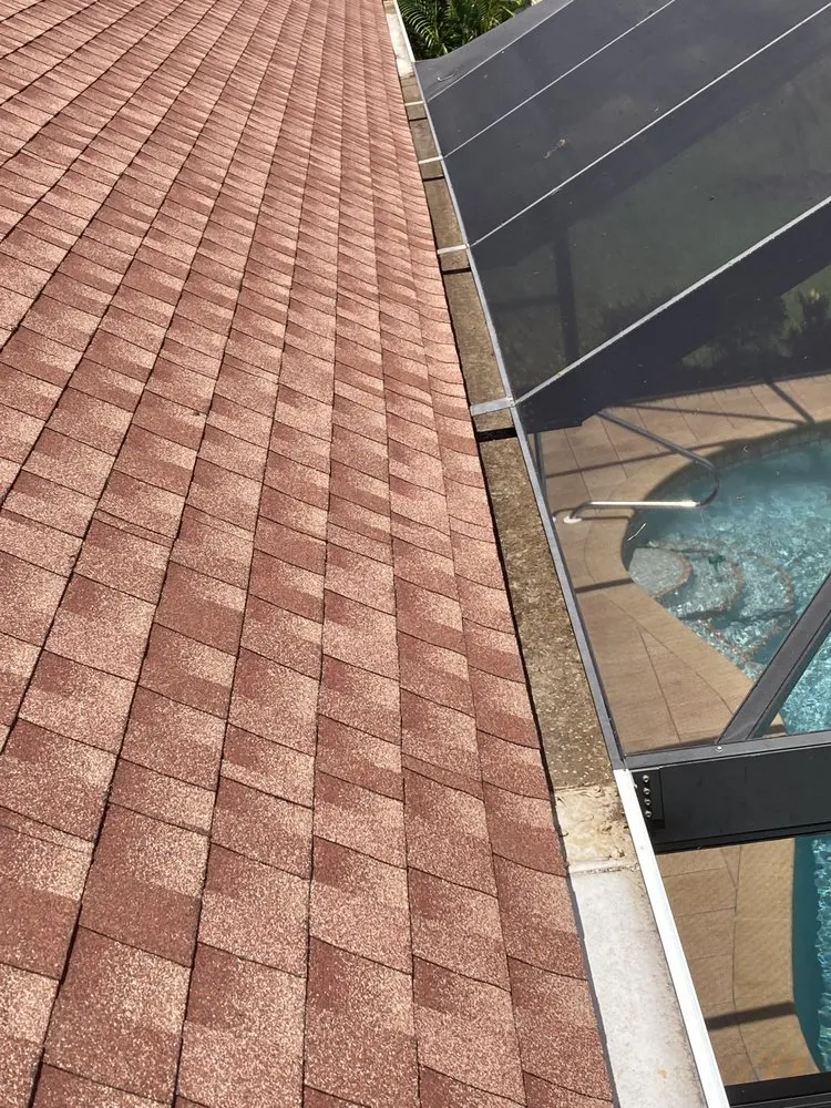 Professional yard cleanup service for year-round maintenance in Bradenton, FL by Lux Cleaning Solutions