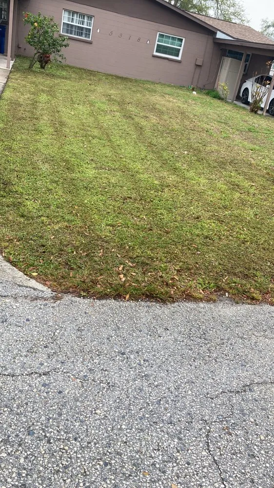 Top-rated landscaping services in Bradenton, FL by Lux Cleaning Solutions