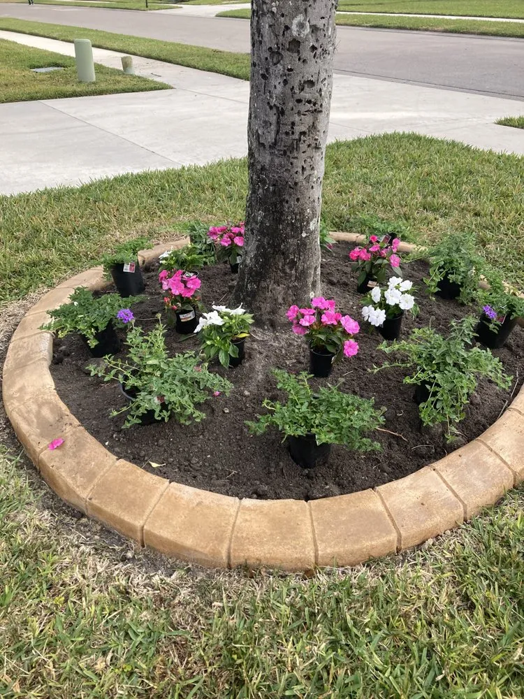 Top-rated landscaping services for beautiful yards in Bradenton, FL by Lux Cleaning Solutions