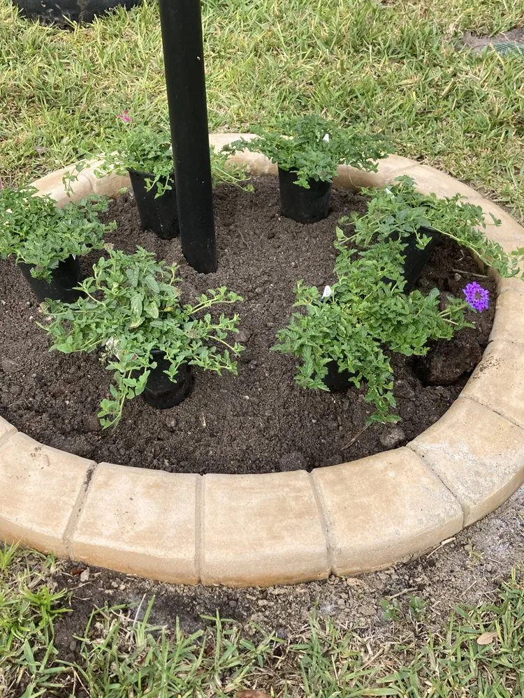 Trusted lawn mowing service in Bradenton, FL - Lux Cleaning Solutions