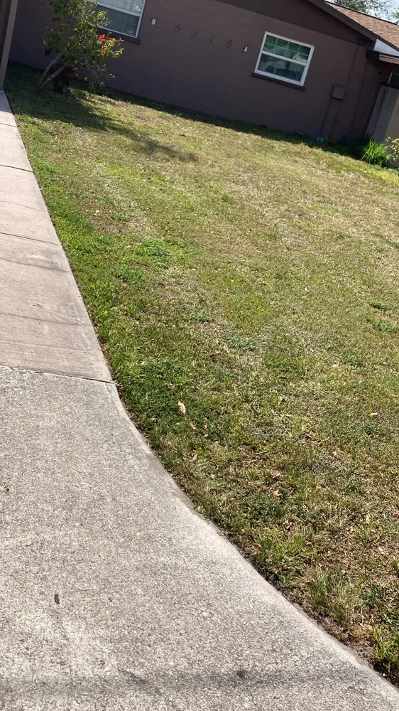 Reliable yard maintenance in Bradenton, FL - Lux Cleaning Solutions