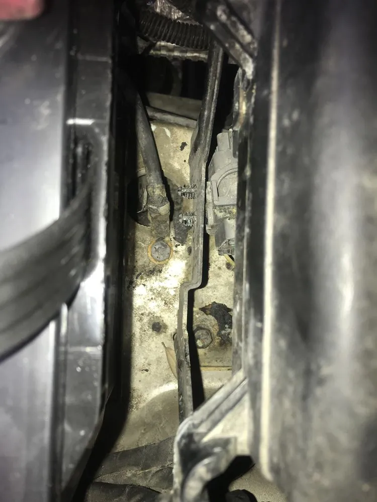 Custom yard cleanup service experts serving Tyler, TX - Lux Grass Lanscaping