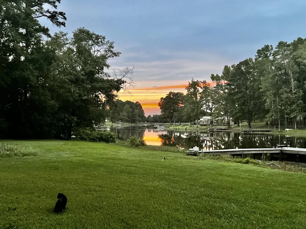 Affordable landscape design in Tyler, TX by Lux Grass Lanscaping