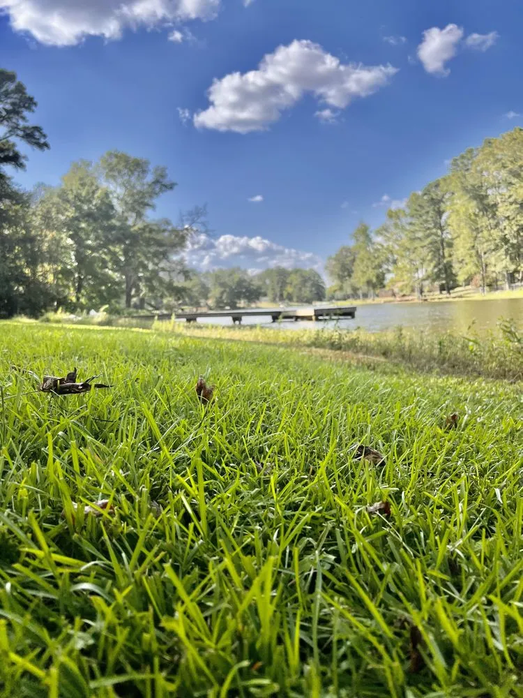 Trusted residential landscaping for year-round maintenance across Tyler, TX - Lux Grass Lanscaping
