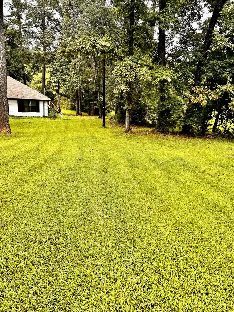 Custom residential landscaping in Tyler, TX by Lux Grass Lanscaping