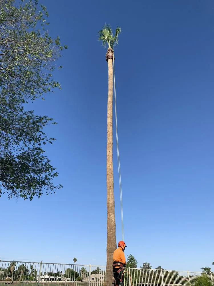 Trusted garden landscaping in Chandler, AZ - Lux Landscape Services