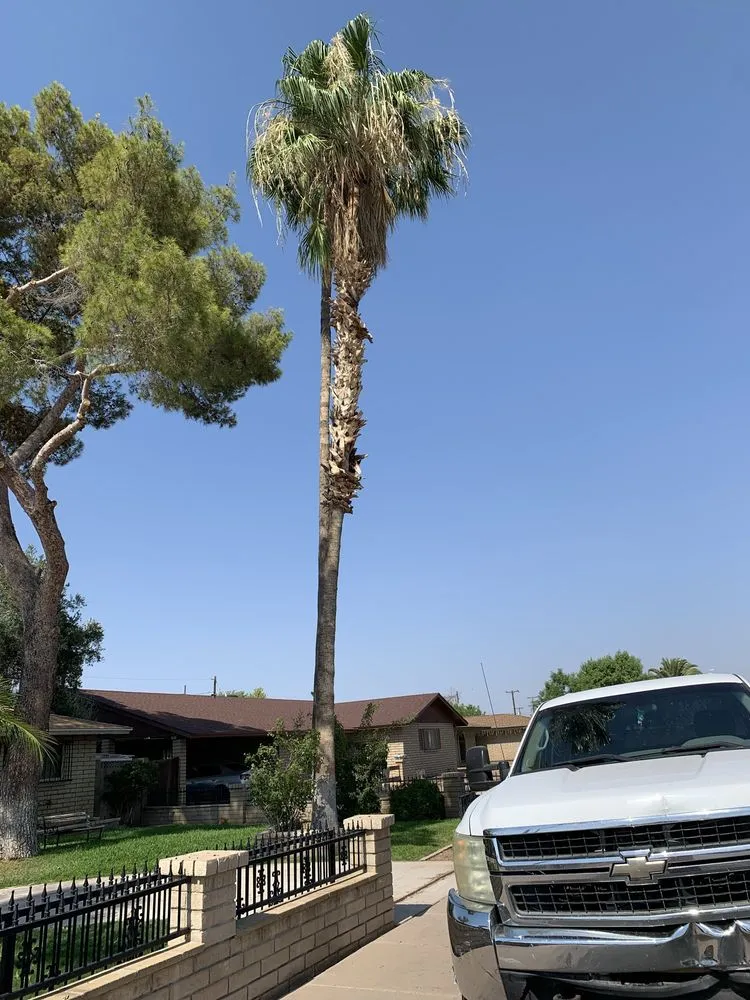 Top-rated residential landscaping with custom design in Chandler, AZ by Lux Landscape Services