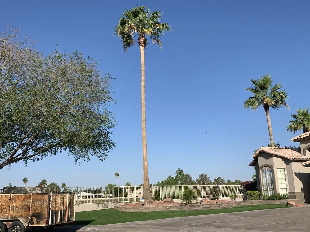 Professional landscaping services experts serving Chandler, AZ - Lux Landscape Services