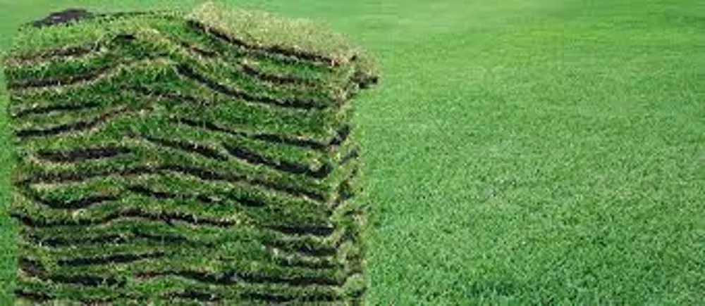 Expert landscape installation experts serving Parrish, FL - LUX Landscaping Design & Maintenance