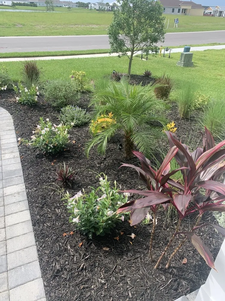 Affordable residential landscaping experts serving Parrish, FL - LUX Landscaping Design & Maintenance