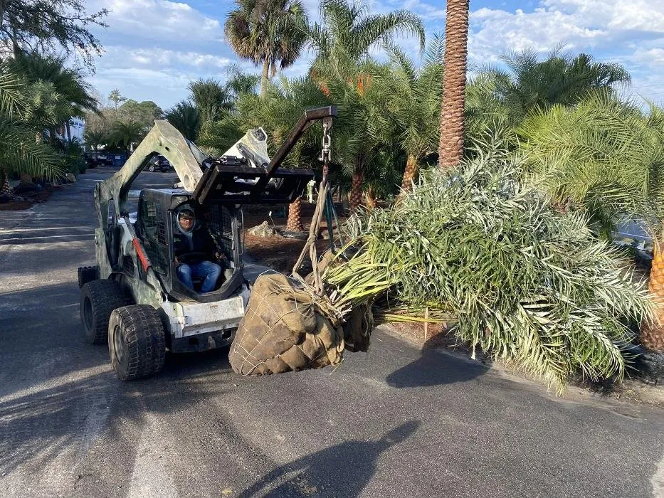 Custom lawn care service for year-round maintenance across Parrish, FL - LUX Landscaping Design & Maintenance