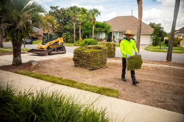 LUX Landscaping Design & Maintenance