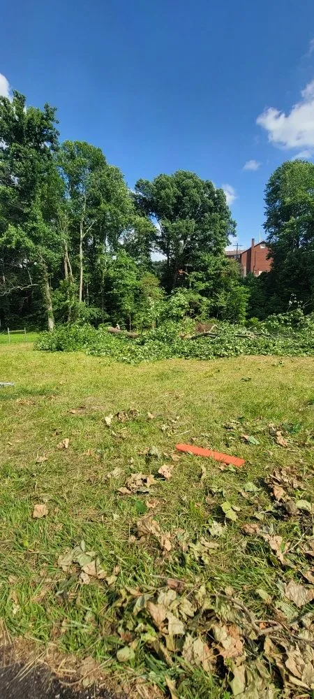 Custom lawn care service for outdoor upgrades across Rineyville, KY - Lux Landscaping