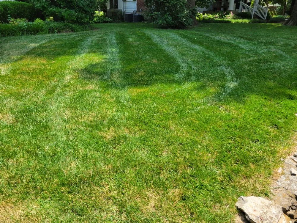 Trusted landscape installation in Rineyville, KY by Lux Landscaping