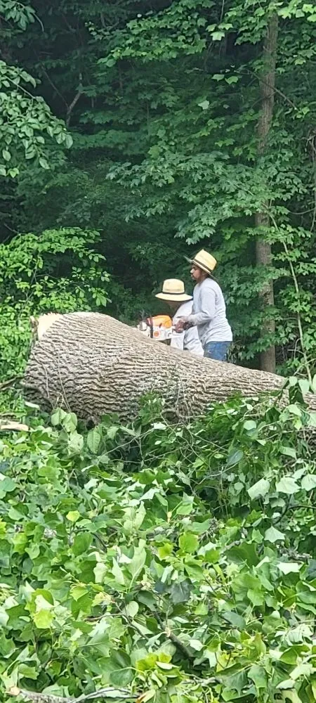 Reliable outdoor landscaping near you in Rineyville, KY by Lux Landscaping