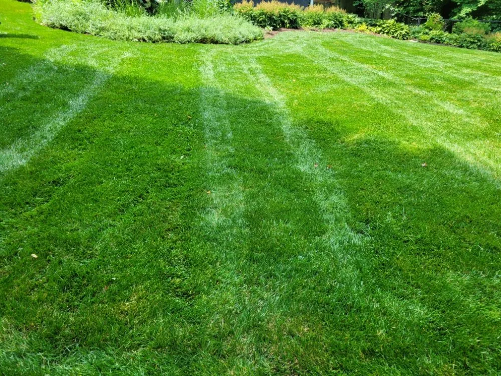 Professional outdoor landscaping in Rineyville, KY by Lux Landscaping