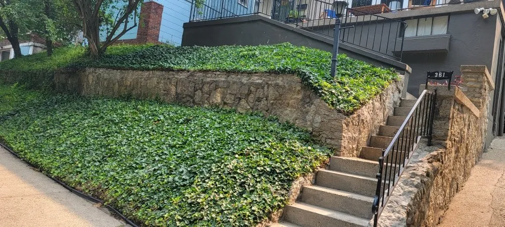 Affordable lawn mowing service in Rineyville, KY by Lux Landscaping