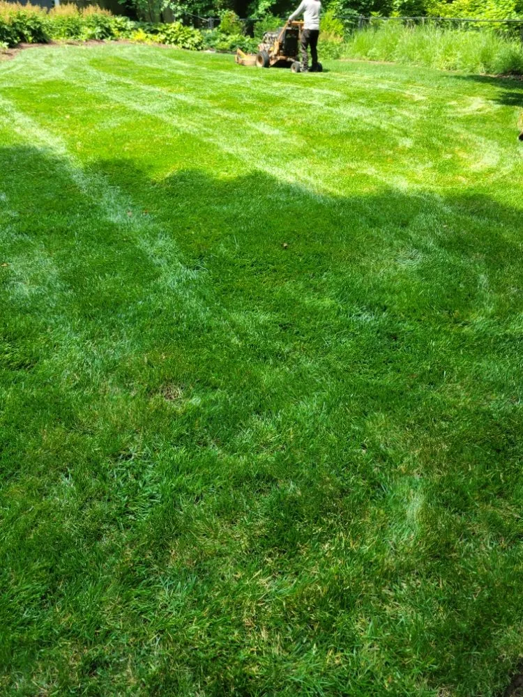 Expert yard maintenance near you in Rineyville, KY by Lux Landscaping