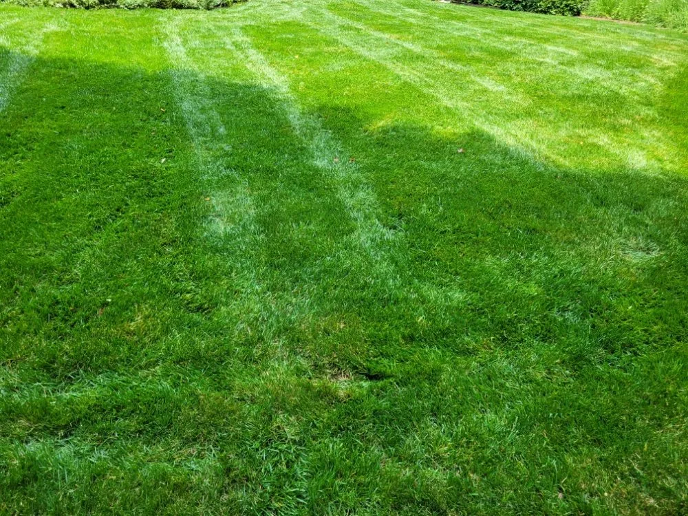 Expert landscape installation for beautiful yards in Rineyville, KY by Lux Landscaping